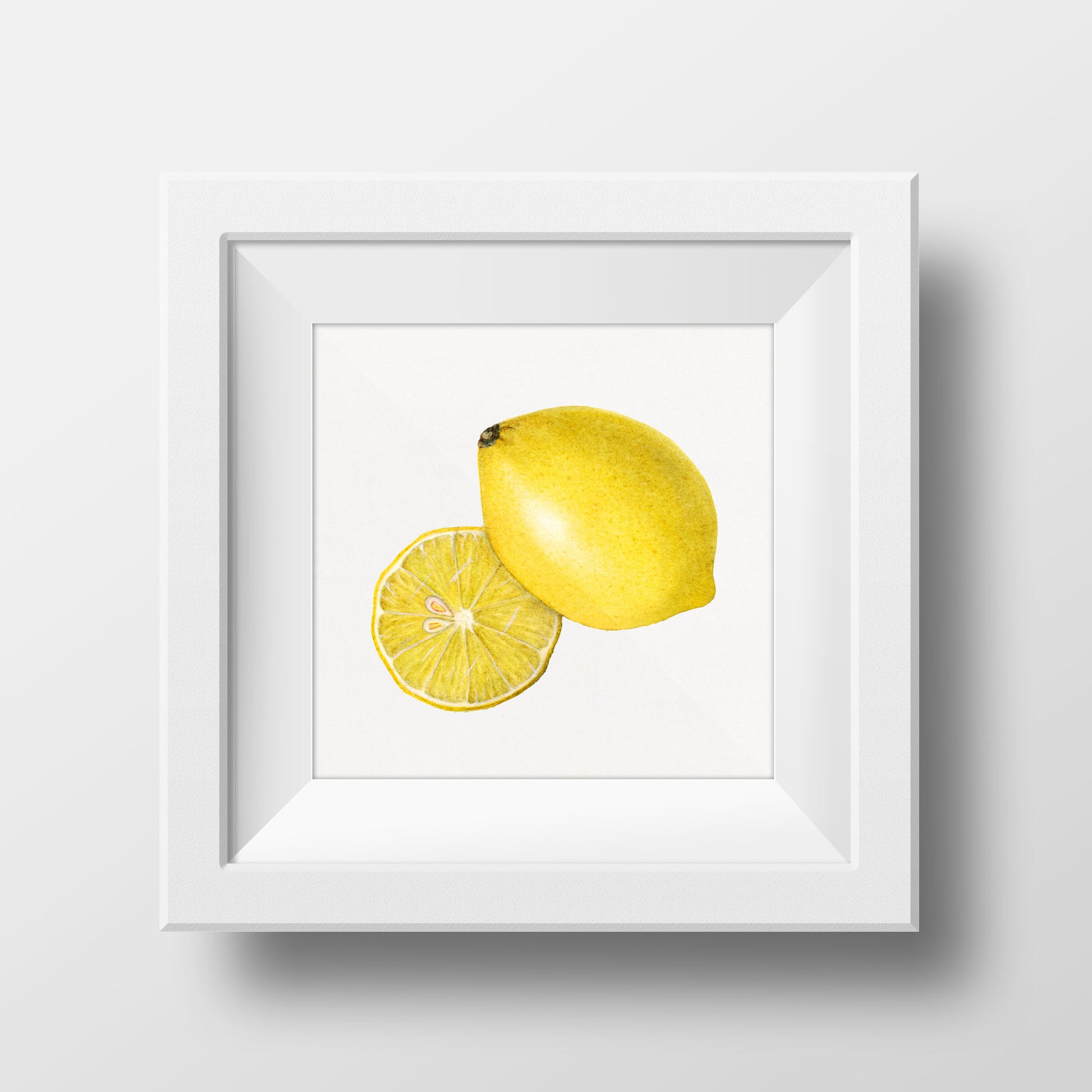 ‘When Life Gives You Lemons’ Wall Gallery